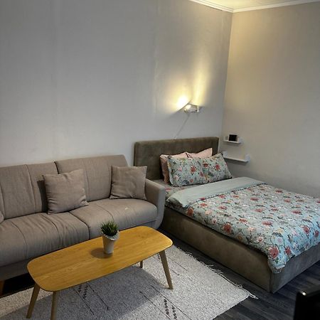 1 Bedroom Apartment Near Kadriorg Swan Pond Tallinn Dış mekan fotoğraf