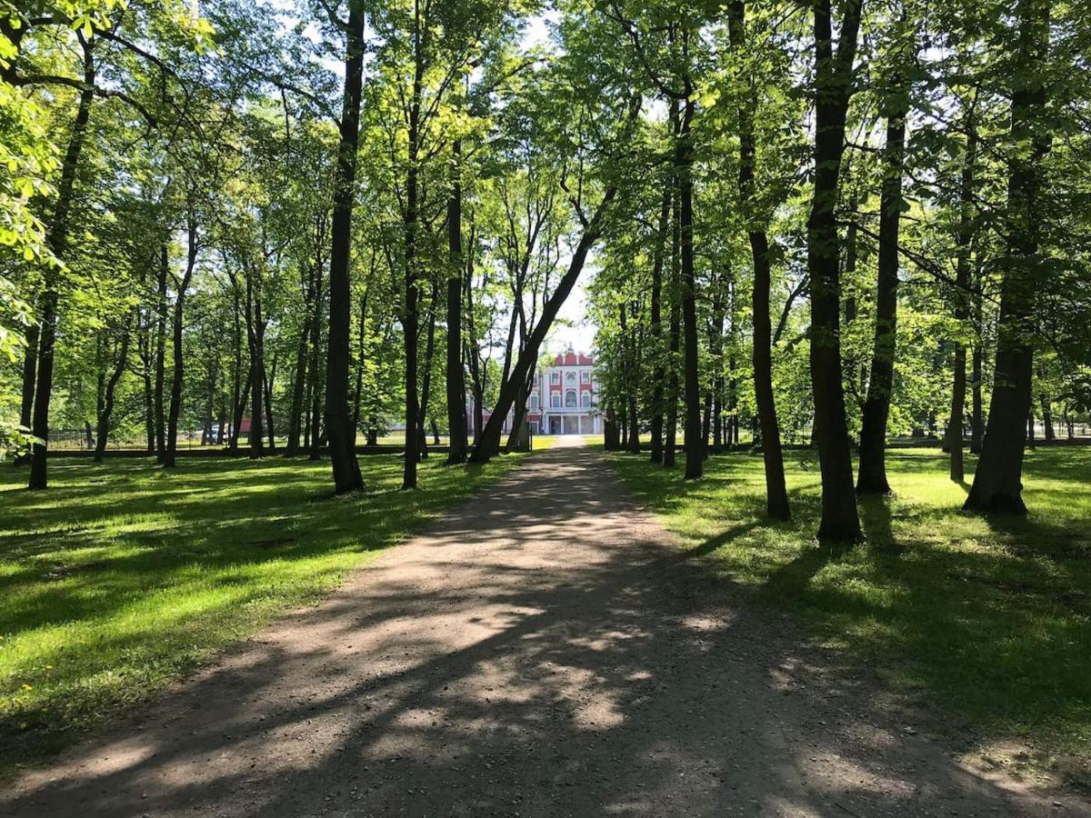 1 Bedroom Apartment Near Kadriorg Swan Pond Tallinn Dış mekan fotoğraf